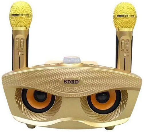 Ηχείο Karaoke με Ασύρματα Μικρόφωνα και Εφέ Φωτισμού SD-306 Χρυσό