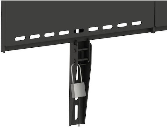 Hagor MB 100 HD Επιτοίχια έως 110" και 125kg