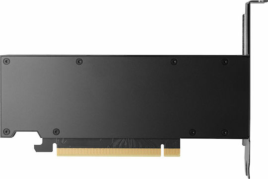 HP RTX 2000 Ada 16GB GDDR6 Grafikkarte