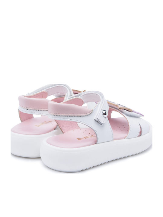 Amica 3107