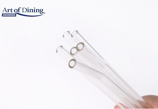 Set 6 Glass Straws + Cleaning Brush
