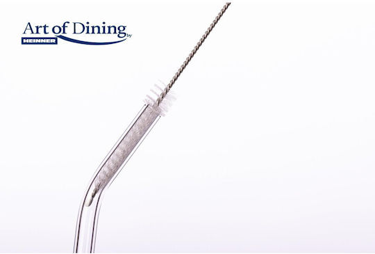 Set 6 Glass Straws + Cleaning Brush