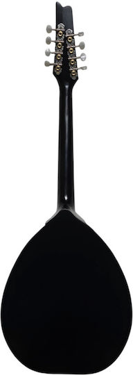 Acoustic Mandolin