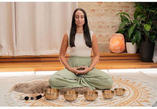 Sonic Energy Singing Bowl Auswirkungen