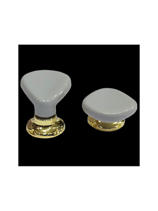 Italienischer Möbelknopf Acm 11424-000-ino1 Gold-Grau Durchmesser 30