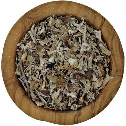 Iris Mosh Spices Bazaar Salep Meeres 500g