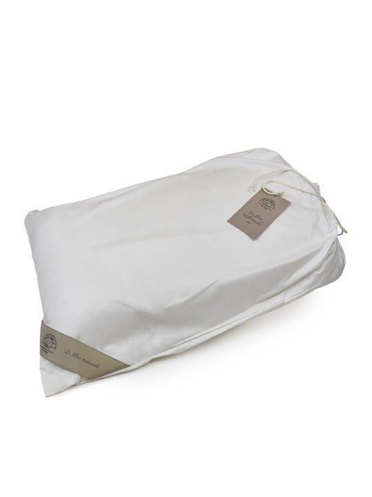 Kapok Organic Cotton 50x70