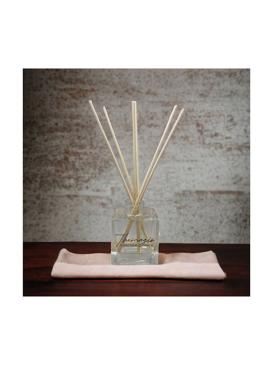 Themagio Raumdüfte Sticks Puder 100ml