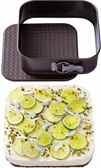 Pyrex Asimetria Backform Torte Aluminium mit abnehmbarem Boden 24x24cm 1cm
