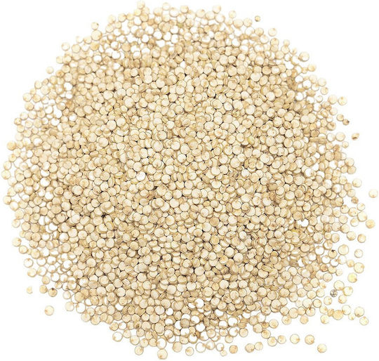 Μπαχαραδικο Κινόα Λευκή Bio 500gr