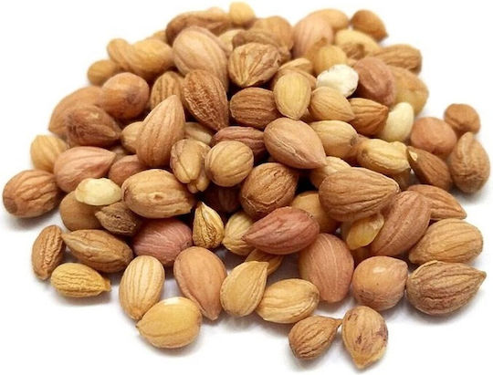 Spice Shop Whole Mahleb 100gr