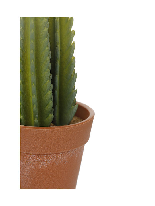 Plantă Suculentă În Ghiveci 14cm 8.5x8.5x14cm Verde Kaeming