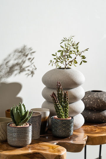 Succulent Plant Potted 23cm 8x8x23cm Green Kaeming