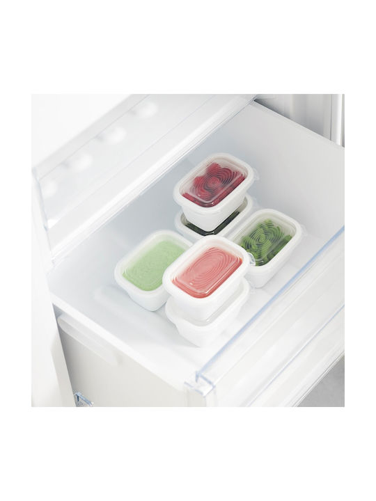 Rotho Babydesign Σετ Δοχεία Φαγητού Πλαστικά Διάφανα 7.5cm 6τμχ