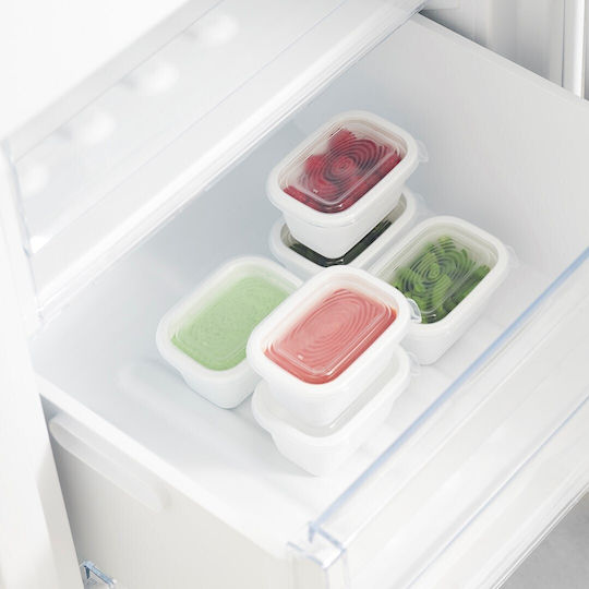 Rotho Babydesign Set Kunststoff Mittagsboxen Transparente 7.5cm 6 Stück