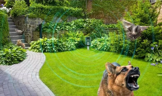 Geti Ultraschallabwehrgerät Nagetiere Geti Ultraschallabwehrgerät Nagetiere
