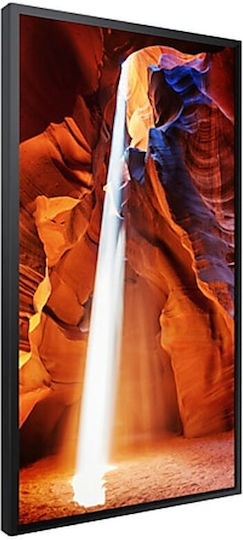 Samsung Signage Public Display E-LED VA Full HD 55"