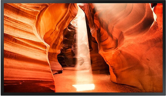 Samsung Signage Public Display E-LED VA Full HD 55"