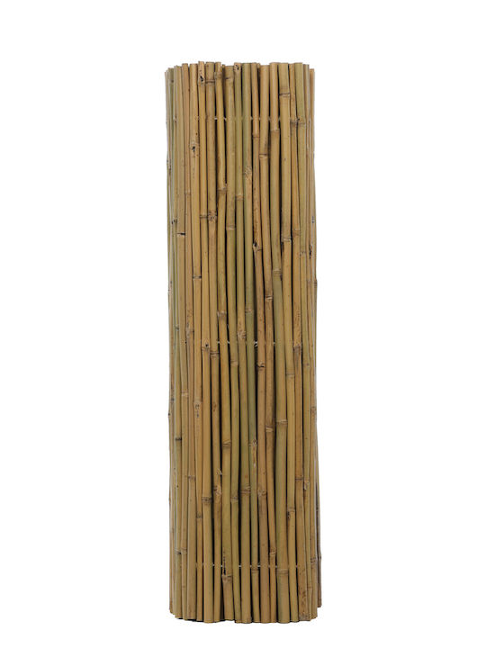 Jardi Bambuszaun mit Ganzes Schilf Bambus 2x3m
