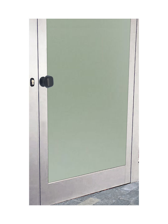 Saguatti Knob Front Door Matt Brown