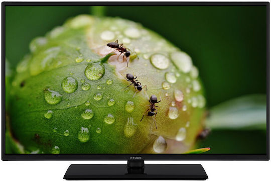 Kydos Televizor 32" HD Ready LED K32NH22CD (2019)