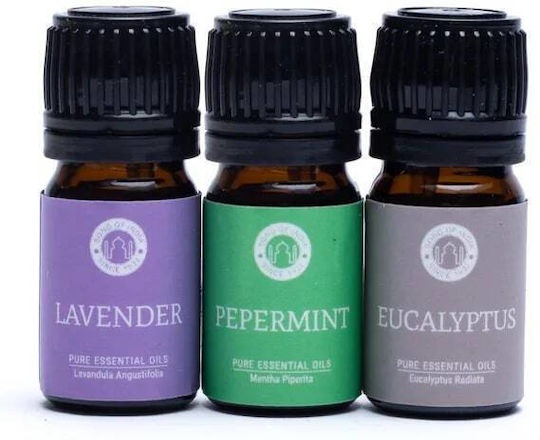 Aromatherapie Geschenkset Breathe Pure Ätherische Öle Set 3 Ätherische Öle 5ml