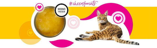 3coty Wet Food for Cats with Chicken Gluten-Free 75gr