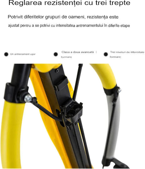 Dragonfly Arvadafit Ld/tf-01 Dispozitiv Fitness – Echipament Versatil Pentru Antrenamente Complete De Forță Pentru Abdomen Și Core Ideal Pentru Acasă Sală Birou Negru