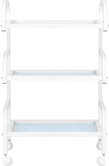 Beauty Roll Hair Salon Maintenance Cart