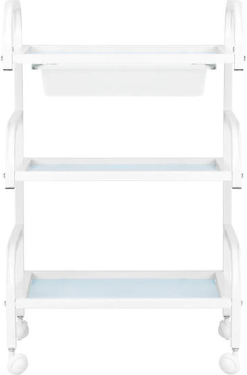 Beauty Roll Hair Salon Maintenance Cart