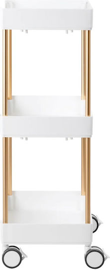Beauty Roll Hair Salon Maintenance Cart