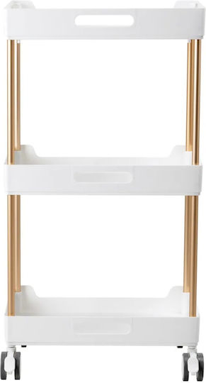 Beauty Roll Hair Salon Maintenance Cart