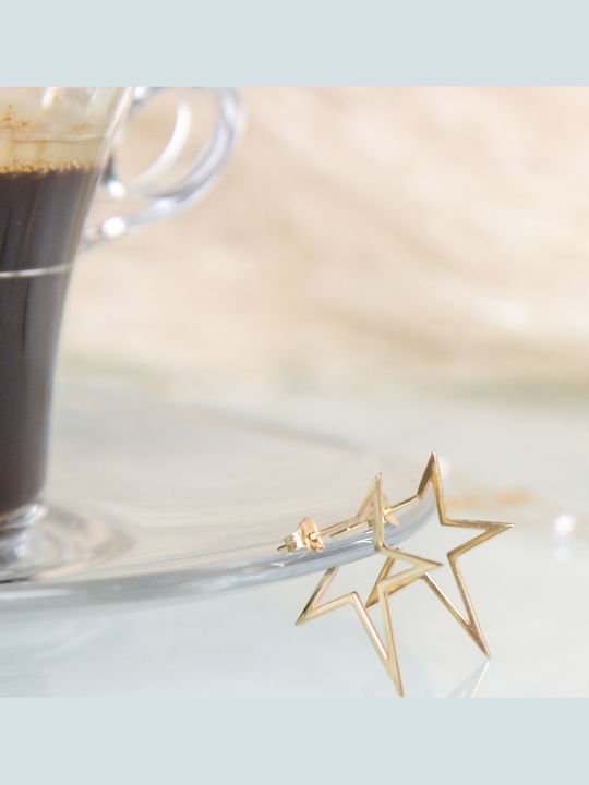 Σκουλαρίκι Χρυσό 14κ I Star You
