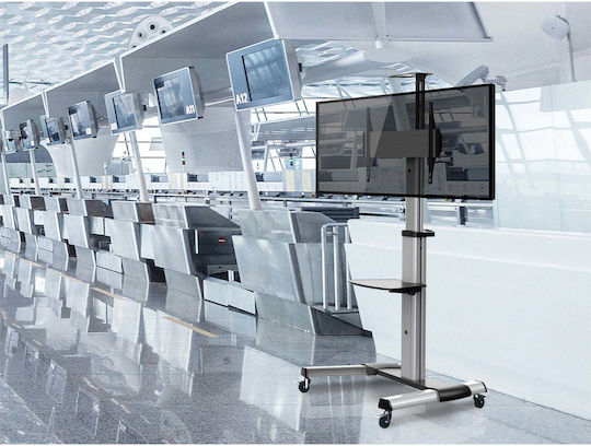 Equip Display TV Cart 650602 TV Mount Floor up to 70" and 50kg