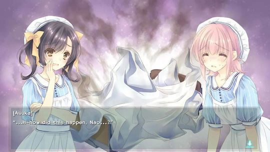 Nurse Love Obsession Switch Game