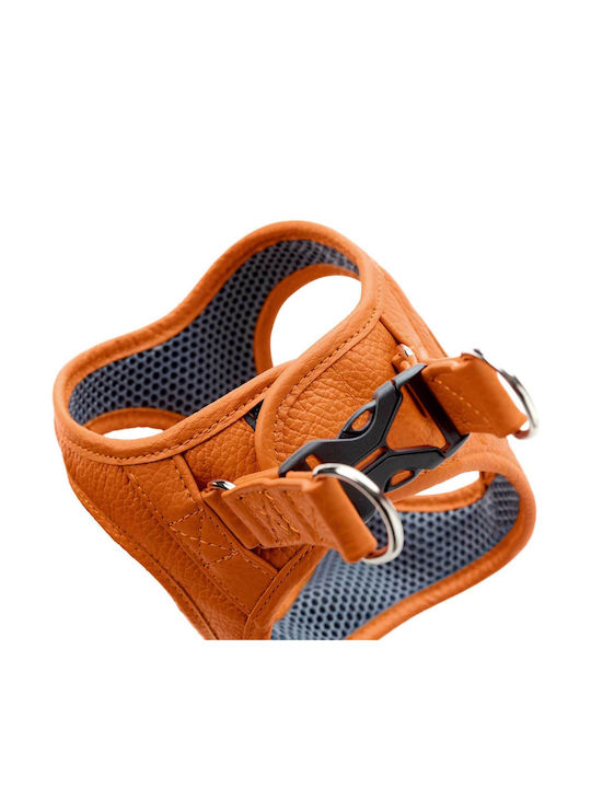 Δερμάτινο Σαμαράκι Hunter Harness Geschirr Hilo 33-37/xs Orange