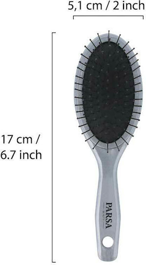 Parsa Unicolor Oval Kleine Haarbürste Mit Zinken Silber