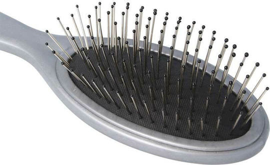 Parsa Unicolor Oval Kleine Haarbürste Mit Zinken Silber