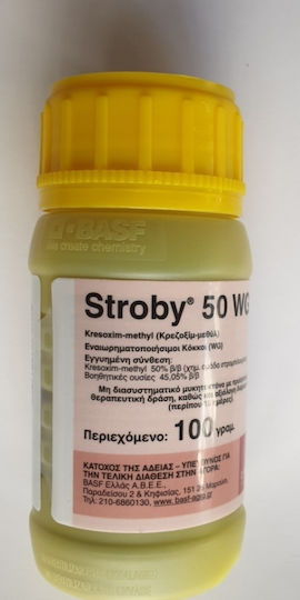 BASF Stroby 50 WG Fungizid in Körnern 100gr
