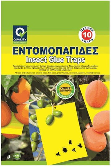 Aphid Παγίδα 10τμχ