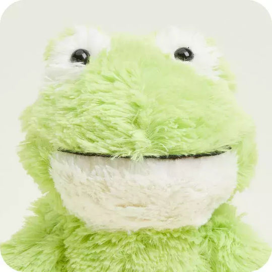 Warmies Double Use Frog