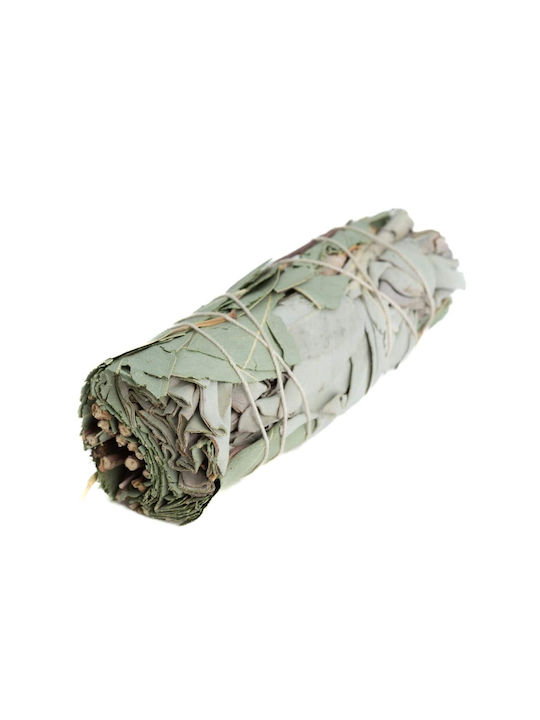 Băț De Fumigație Salvie Albă Eucaliptus 10x3cm Set 2 Bățuri De Tămâie