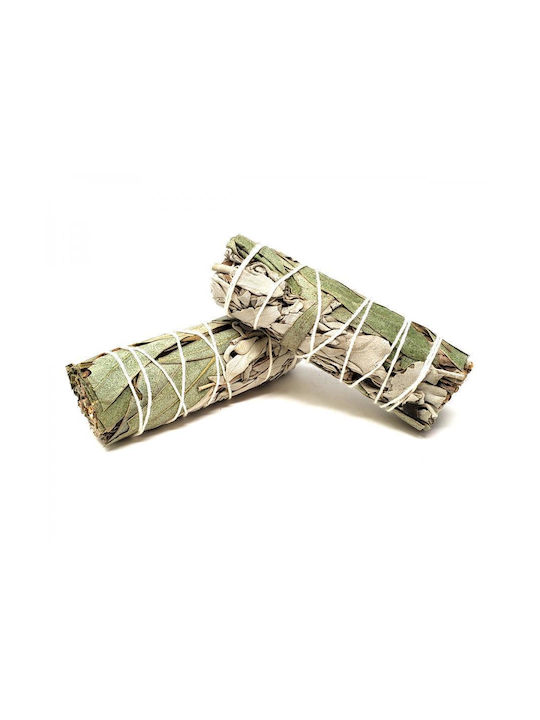Băț De Fumigație Salvie Albă Eucaliptus 10x3cm Set 2 Bățuri De Tămâie