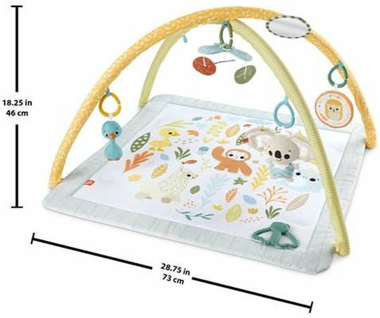 Fisher Price Activity Gym for Newborns