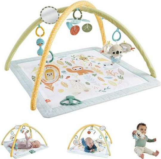 Fisher Price Activity Gym for Newborns