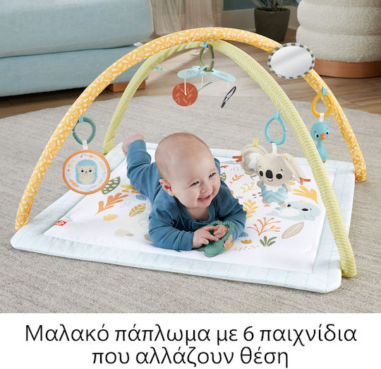 Fisher Price Activity Gym for Newborns