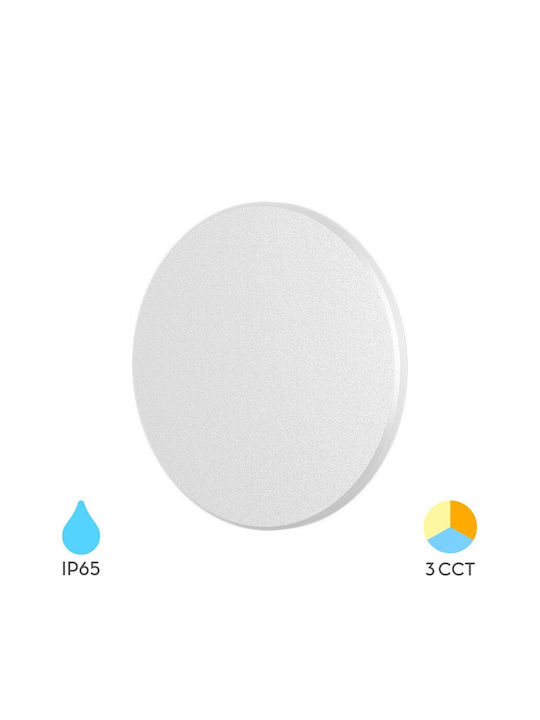 Braytron Επιτοίχια Εξωτερική Πλαφονιέρα LED IP65 8W με Ρυθμιζόμενο Λευκό Φως