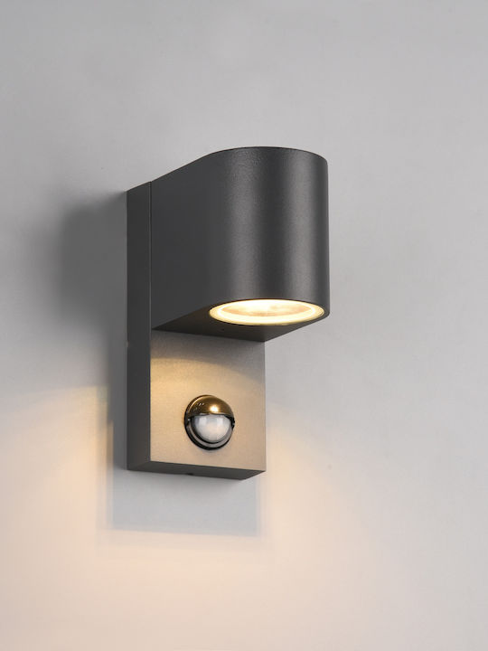 Trio Lighting Roya Σποτ 7x11.6x15εκ. Trio Lighting Roya Σποτ 7x11.6x15εκ.