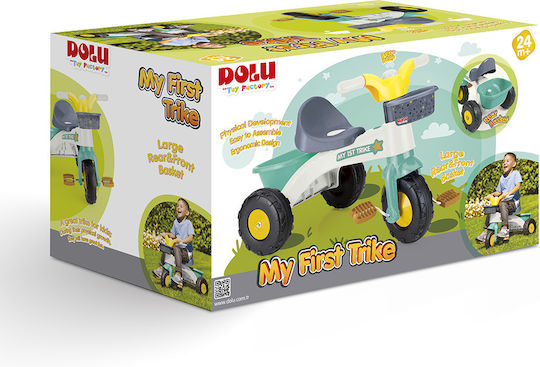 Dolu My First Trike For 2+ Years Multicolour