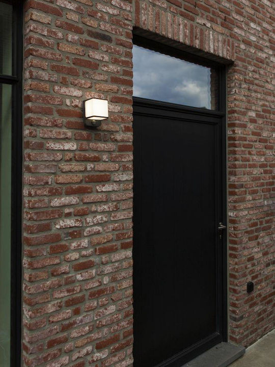 Lutec Doblo Wall-Mounted Outdoor Light